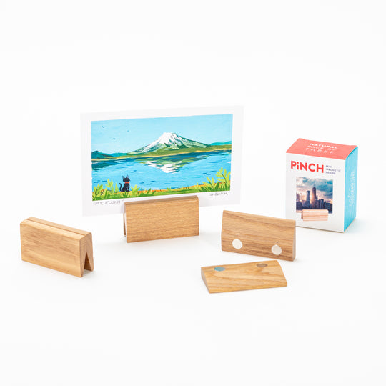 Miniature Magnetic Frame