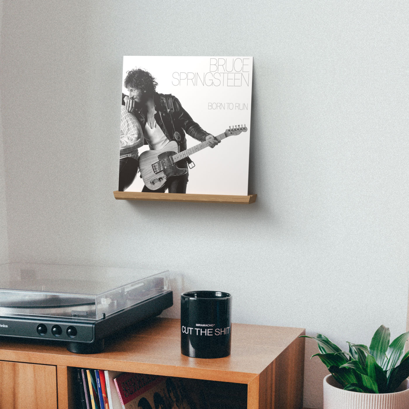 Solid wood record display